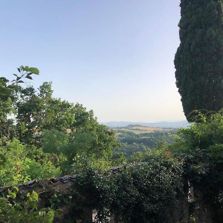 ホテル Il Borgo Di Olive Sismano エクステリア 写真