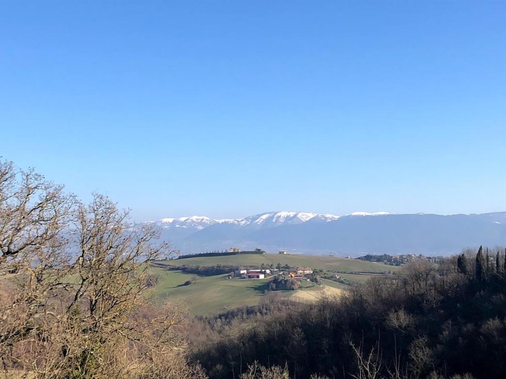 ホテル Il Borgo Di Olive Sismano エクステリア 写真