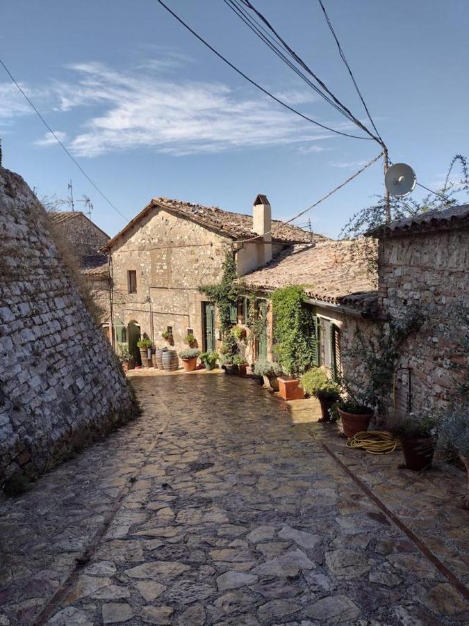 ホテル Il Borgo Di Olive Sismano エクステリア 写真