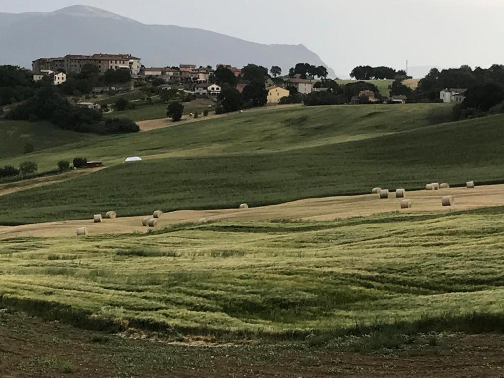 ホテル Il Borgo Di Olive Sismano エクステリア 写真